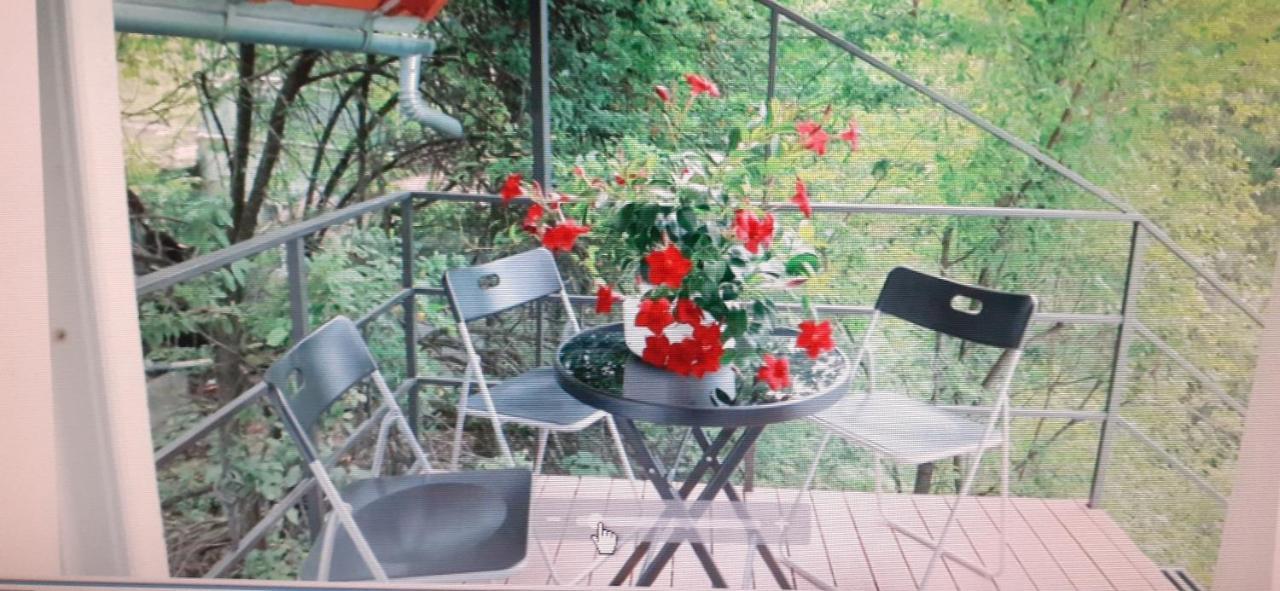 Raza Soarelui Apartament De Lux Sovata Exteriér fotografie
